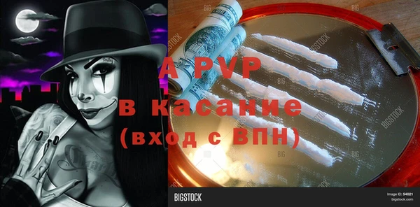 хмурый Каменногорск