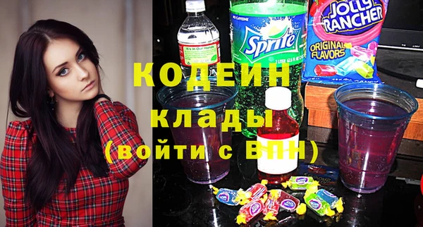 хмурый Каменногорск