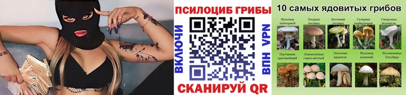 Купить где  Далматово  Галлюциногенные грибы GOLDEN TEACHER 