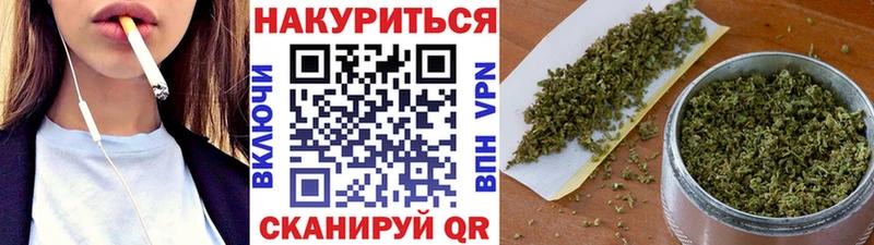 Купить где  Далматово  Бошки Шишки Amnesia 
